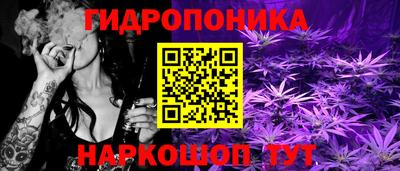 крисы Конаково