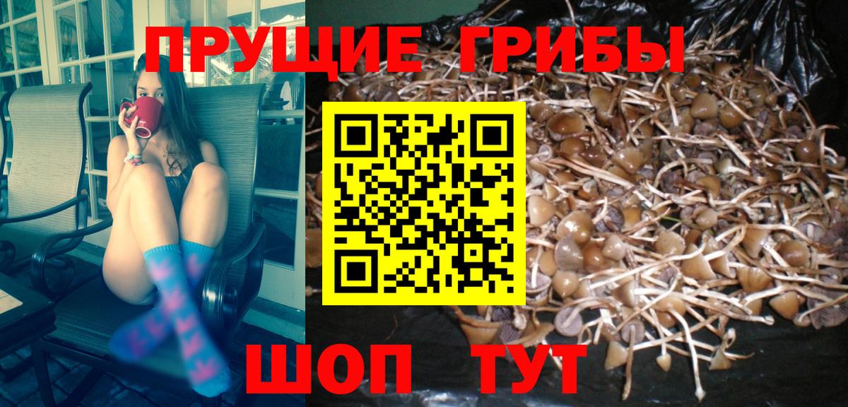 Галлюциногенные грибы мицелий Красноярск